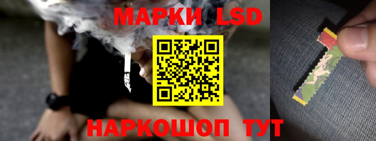 LSD-25 экстази  блэк спрут как зайти  Вход с VPN  Электрогорск  Лсд 25 экстази кислота 