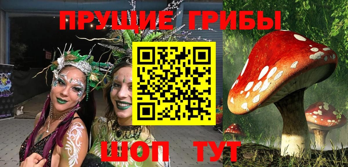 Псилоцибиновые грибы Cubensis Электрогорск