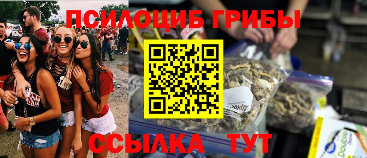Электрогорск  Галлюциногенные грибы прущие грибы  Вход с VPN  Галлюциногенные грибы MAGIC MUSHROOMS 