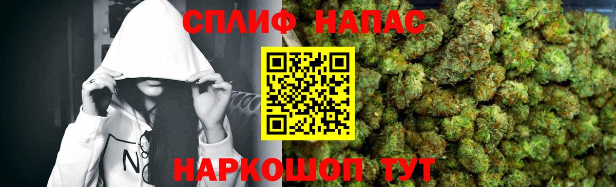 Электрогорск  Бошки Шишки планчик  Вход с VPN  Бошки Шишки MAZAR  Бошки Шишки индика 